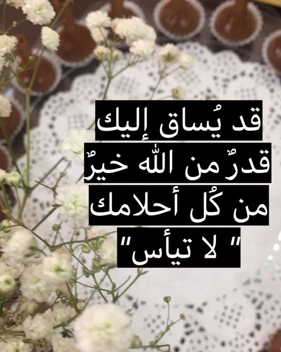 طبق حالي&مالح لشخص غالي حياكم #الحلا_للغلا#جدة #عروس_البحر_الاحمر #جدة_غير#jeddah_city #حل
