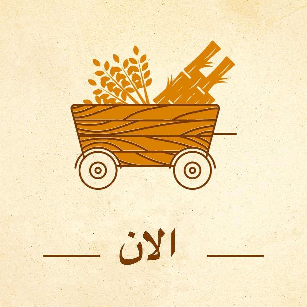 . يتوفر لدينا 2 من براعم البراسيم جاهزه للتوصيل
