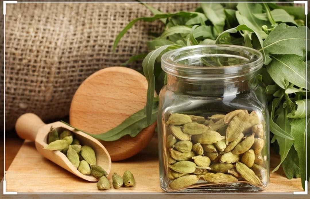 ⚜️أقط مقاس ميني من أجود أنواع الأقط الذيذ والمفيد مع قدوع القهوة ممكن يضاف مع التمر المعجو