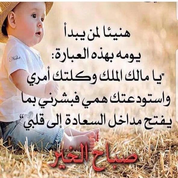 الطلب واتس اب