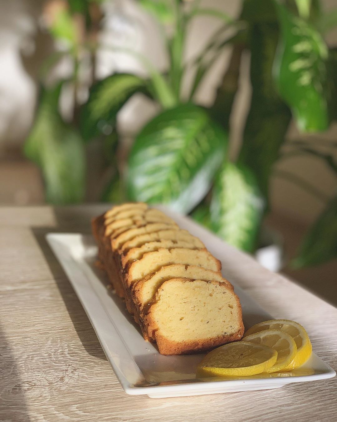 جديدنا ✨✨✨ Lemon cake كيكة ليمون keto friendly ٤٩ ريال فقط #ketobakery #ketofriendly #h