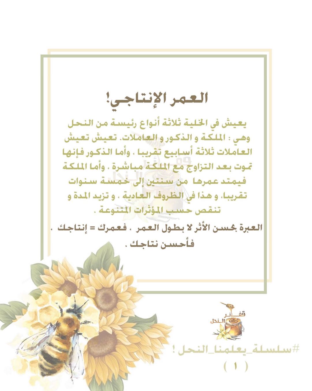 #سلسلة_يعلمنا_النحل ، #قفائر_النحل