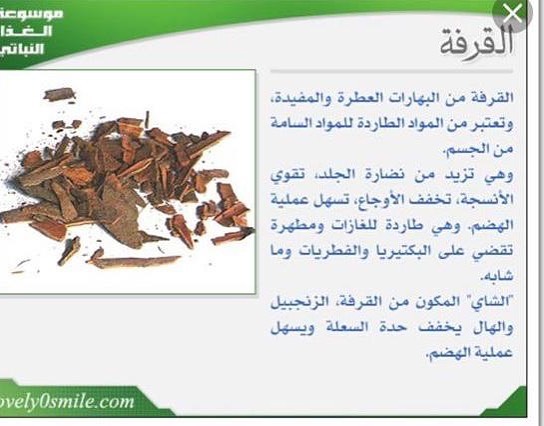 الحق ماتلحق #بهارات_الشقراوية في ريف الديرة بشقراء ( بهارات مشكلة ، زنجبيل ، كركم ) ..✨