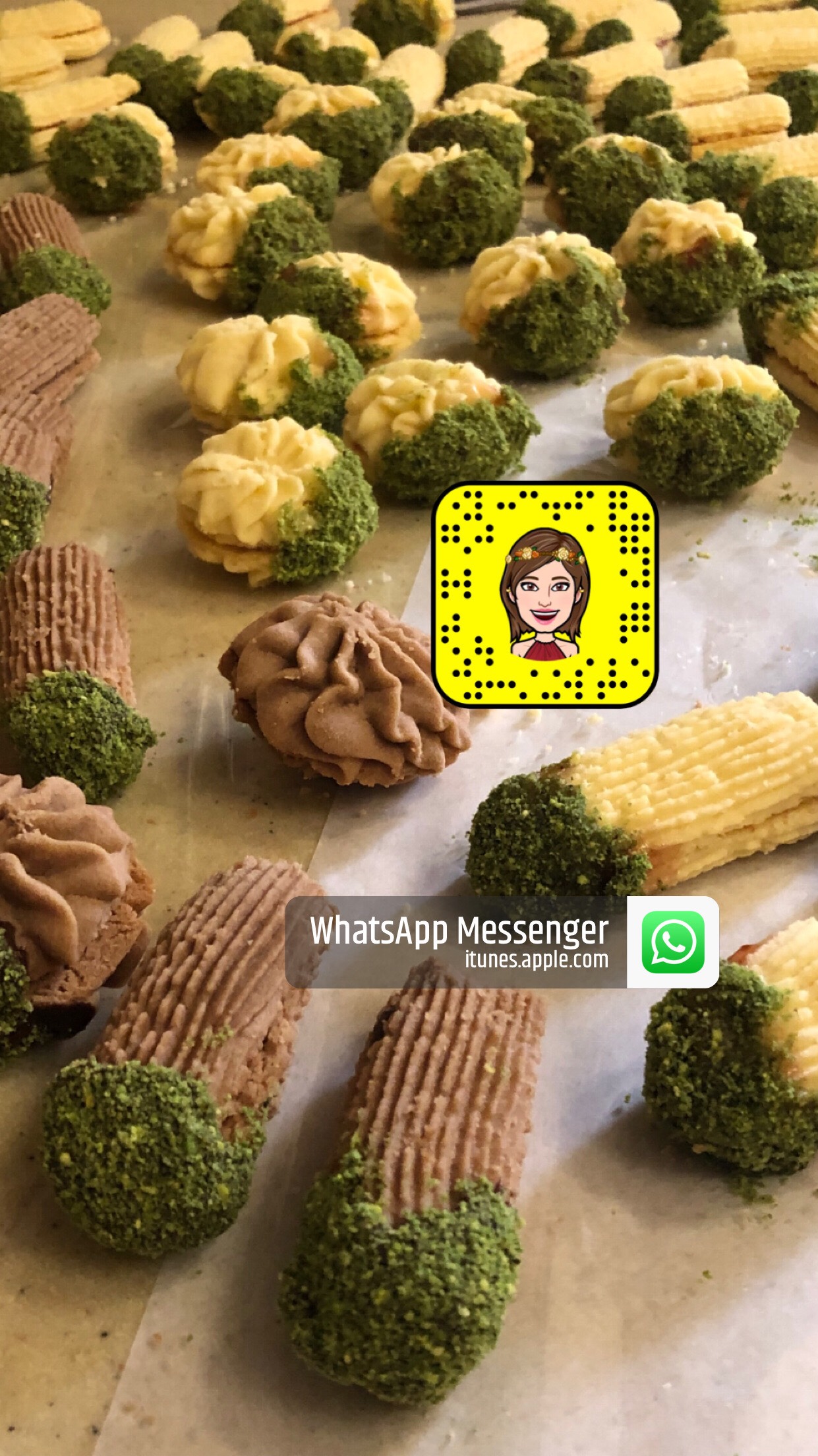 بيتي فور هش