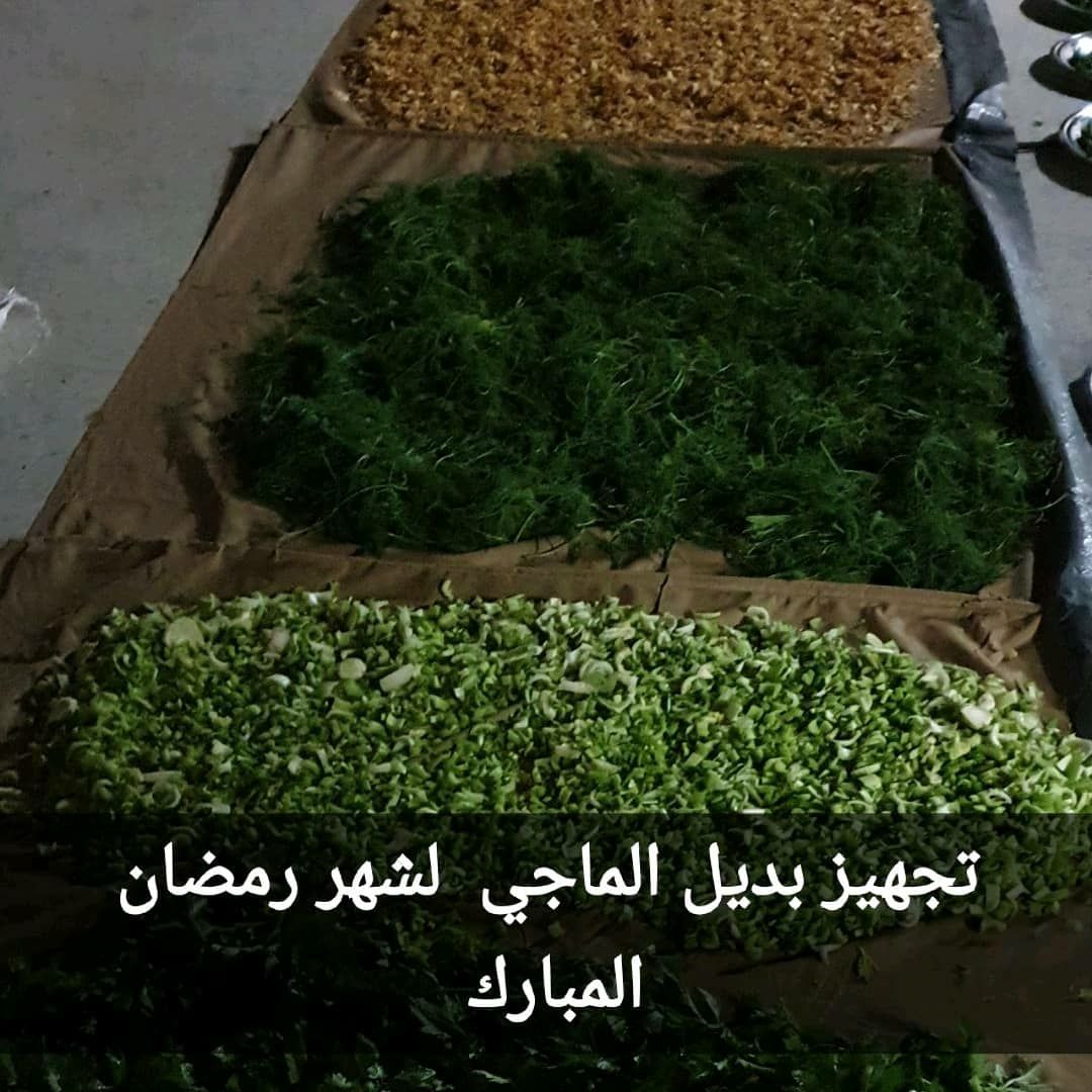 بديل الماجي