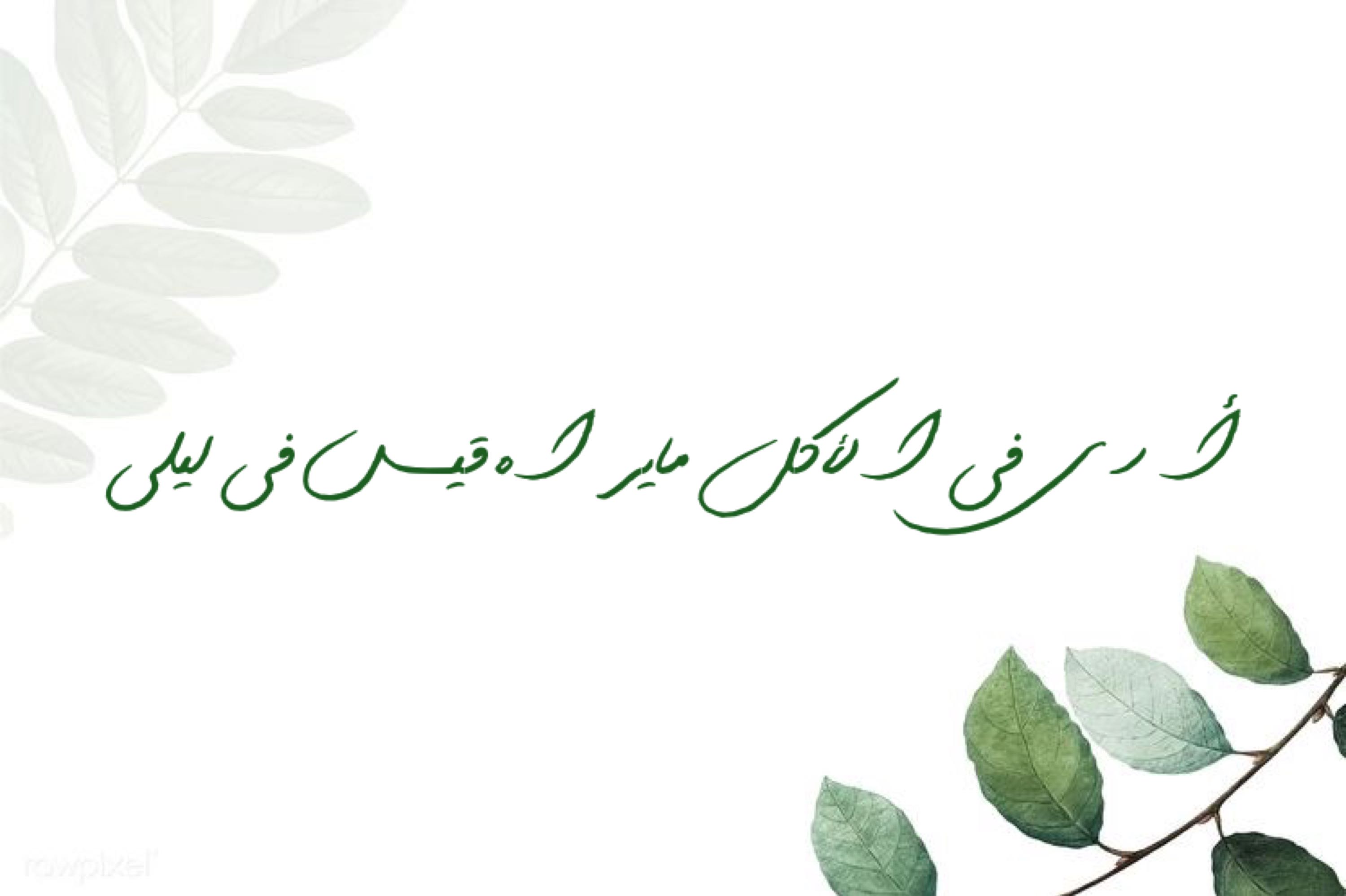 مسخن مقليات
