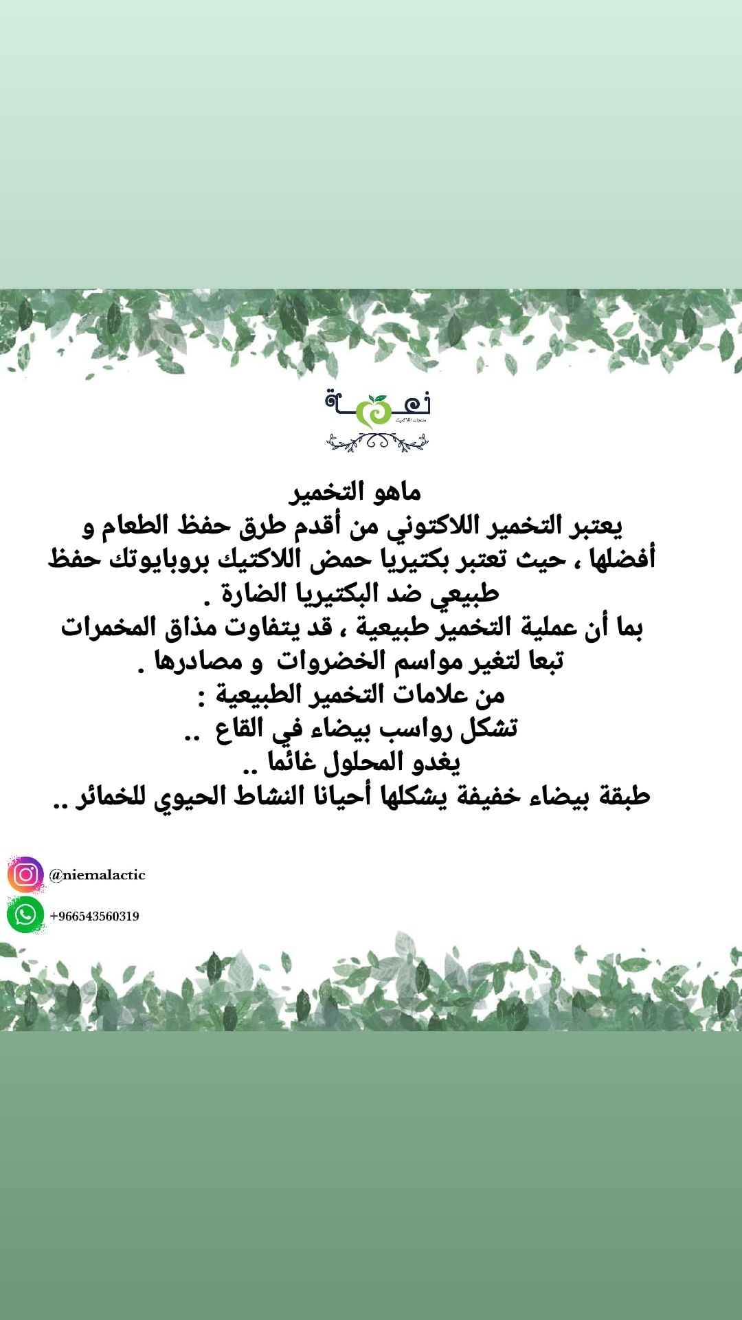 ماهو التخمير