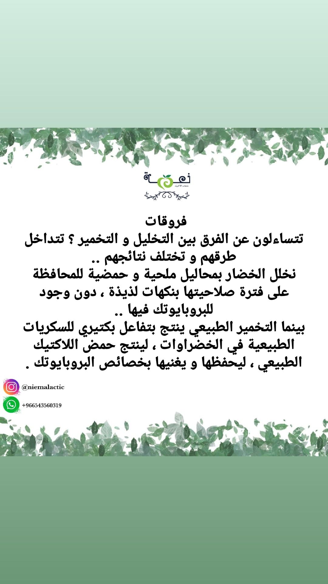 التخمير و التخليل