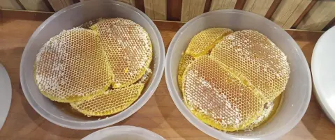 عسل سدر شمع الصحن 3 كيلو تقريباً