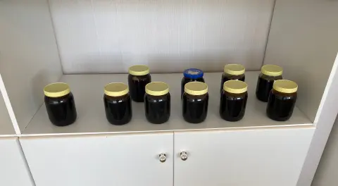 رباب محلي
