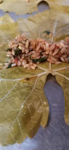 ورق عنب جنان