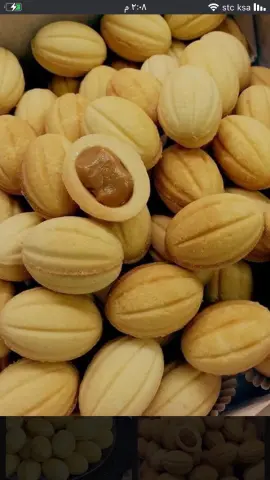 جوزيه البدر