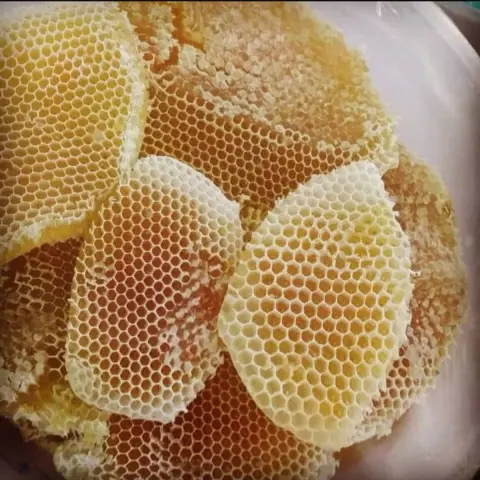 شمع عسل سدر اصلي