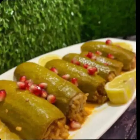 كوسا محاشي