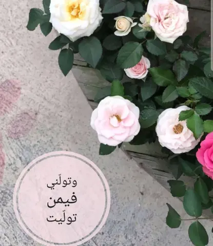 الله اكبر الله اكبر الله اكبر .. لااله الا الله .. الله اكبر الله اكبر ولله الحمد