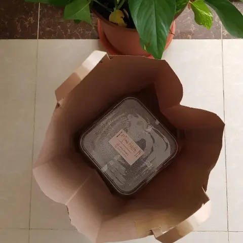 المعنى الحقيقي ل..يدوووووب بالفم . ماشالله تبارك الرحمن تسلم يدك ياقمر