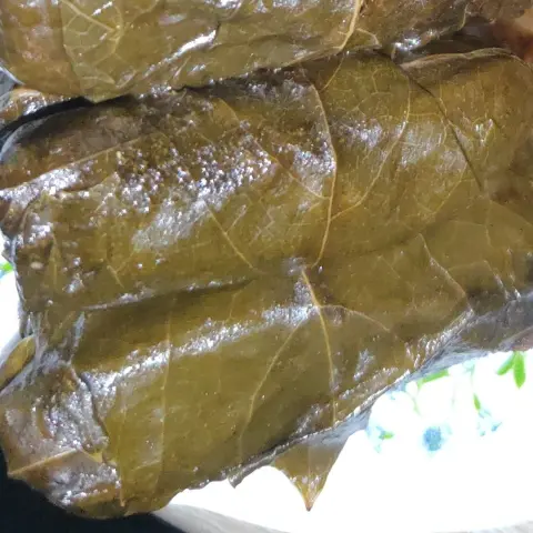 ورق عنب يالنجي بالخضار