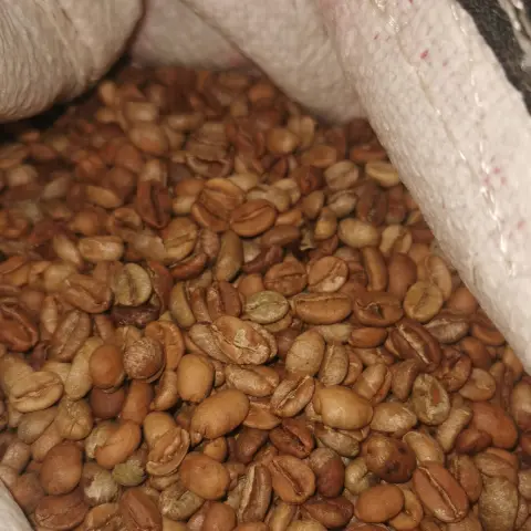 قهوة فوز تجربة ذوق نادره قهوة سعوديه بن هرري درجه اولى حمص متوسط مخلوطه موزونه