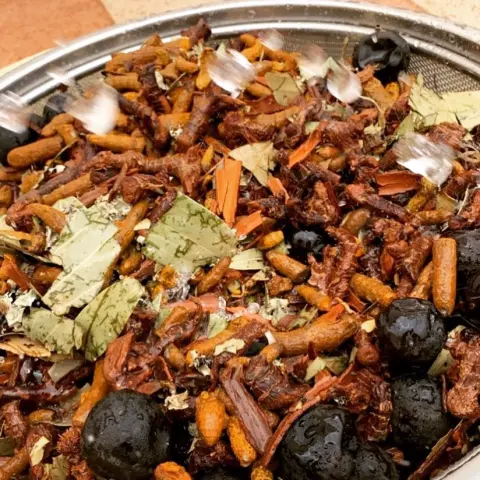 بهار حب