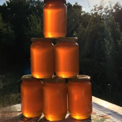 عسل طلح اصلي ومضمون يستخدم للعلاج الامراض الباطنيه او للاستخدام مع الاكلات الشعبيه او للافطار وتقويه مناعة الاطفال وكبار السن وكافه المراحل العُمرية ..
