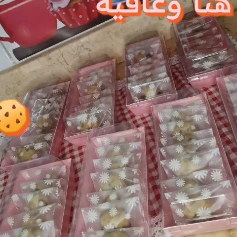 ميني كوكيز طري حشوة اكسترا شوكولا بلجيكية