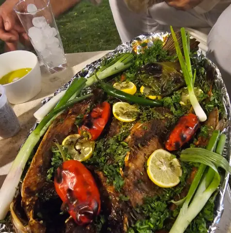 سمك المسكوف