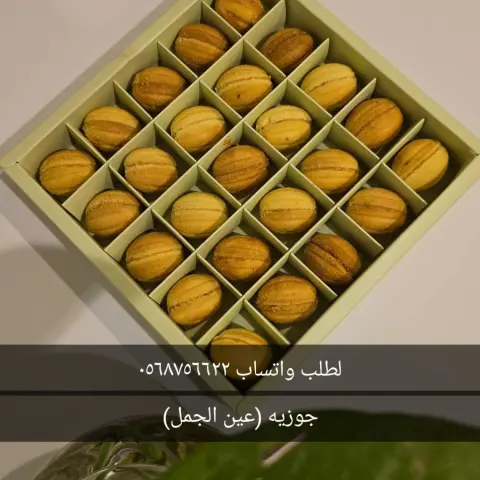جوزيه ب توفي