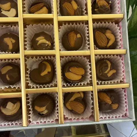 SA
