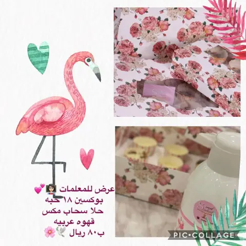 وين معلماتنا الغاليات #حلا_سحاب