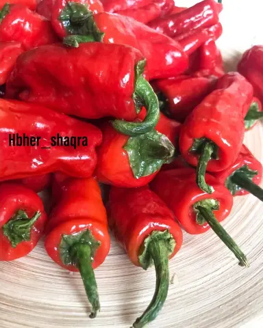 حبحر شقراء الاحمر مقطوف بعناية من المزرعة ليضيف نكهة لذيذة لأطباقك •حار وناطع •خالي من المواد الكيميائية •طازج ‍ •عضوي #حبحر_شقراء #حبحر #حار_وناطع #ناطع_ولذيذ #لذيذ #لذيذ_وناطع #اكل #اكلات #طبخ #طبخات #الرياض #توصيل_ #فلفل_حار #فلفل #فلفل_احمر #فلفل_حار_نار
