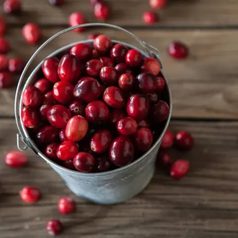 Candy protien bites loaded with nutrients from cranberries orenge & other superfood ingredients. ✔️ #raw #bites #bitez #healthysnacks #healthyfood #homemade #energybites #postworkout #preworkout #lunchbox #vegetarians #nutrition #dietitian #refinedsugarfree #naturalfood #jeddah #ksa #healthylifestyle #healthyeating #energybars #cookies #healthycookies #superfood #cleaneating #backtoschool #nutfree #diabetesday #2019 #cranberry