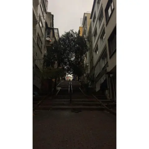 سررت بمعرفتك، اتمنّى ان لا نلتقي مرة اخرى ♥️