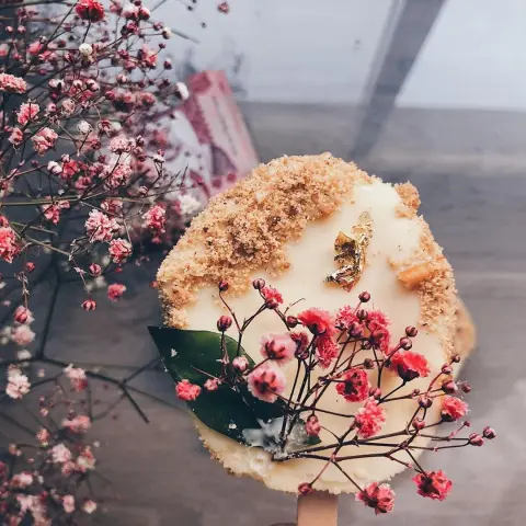 كشخة تشيزكيكنا للعيد، زيناه بزهرة الجيبوسوفيلا، تليق بجمال العيد#food #baking #dessert #cheese #cake #eid #cheesecake #pink #baklava #flowers #photography #foodphotography #flowers #fresh #yummy #chef #creative #chocolate #whitechocolate #callebaut #حلويات #wow #amazing #عيد #pistachio #gold #rose #gypsophila #patisserie #pâtisserie