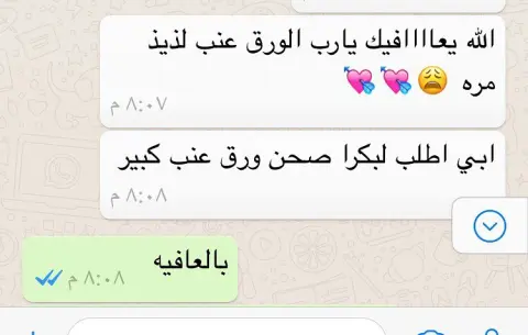 نسعد برأيكم #ورق_عنب #ملفوف #محاشي_مشكله_سبايسي