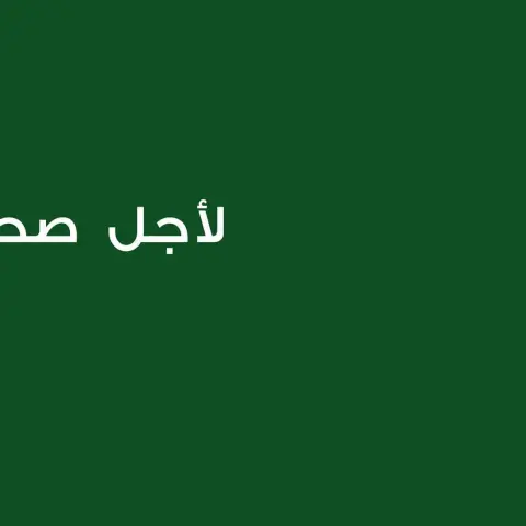 ربيع