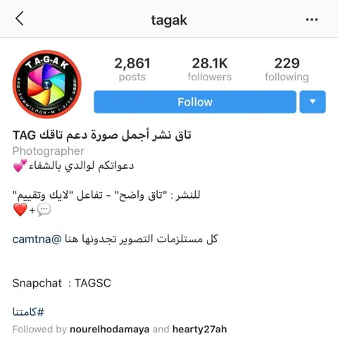 سلطة المقالي