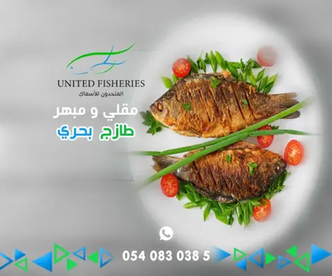 السمك علينا والطبخ عليك ، سجل طلبك يوصلك طازج #اسماك #روبيان #جمبري #صيد #سنبوك #بحريات #سمكة #هامور #مطعم #سياحة #توصيل #كافيار