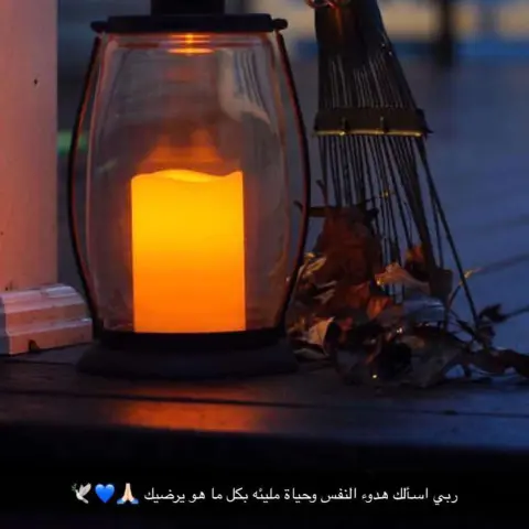 #فود#ترك#مشاريع#صغيره#الرياض