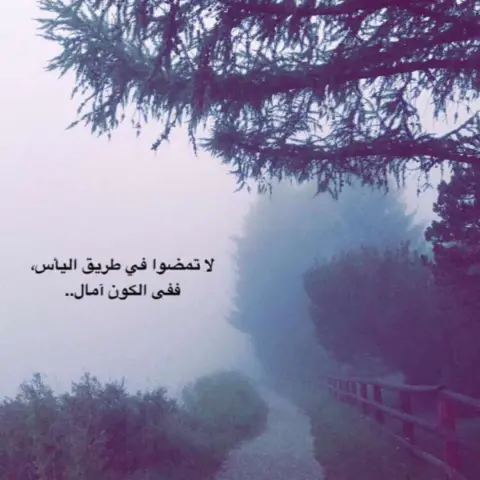 #فود#ترك#مشاريع#صغيره#الرياض