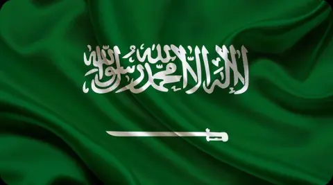 دمتي يادار العز والمجد شامخة حرك أبيه