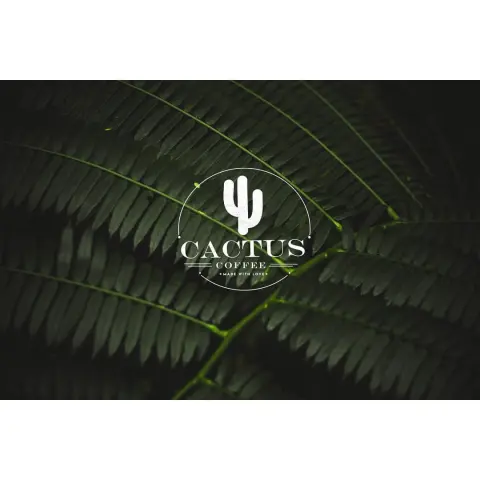 A new product for summer by Cactus. Soon