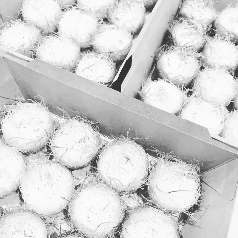 تجهيز الطلبات .. #رمضان #حلا #riyadh #غبقات_رمضانيه #غبقات #رمضان_يجمعنا #رمضان_كريم #توت #كنافة #حلا_بيت #حلى_قهوه #حلا_الكنافة #قهوة #قرقيعان