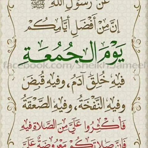 لطلب بالخاص او الواتس. التوصيل مجانا لسكان المذنب