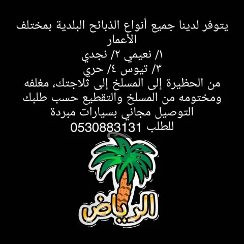 مبروك الفوز اخوي محمد في المسابقه بالعافيه يارب