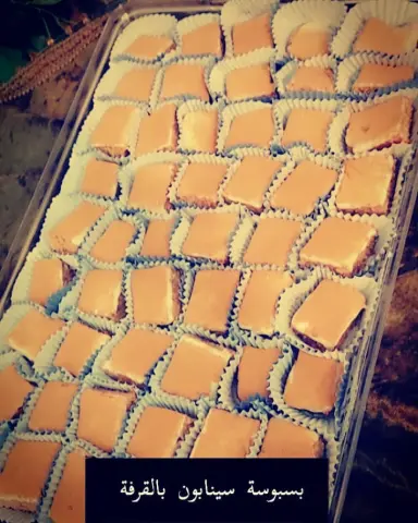 ساند ويش تونة بخضار