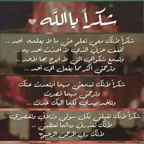 ميني كب كيك للطلب عن طريق الواتس آب