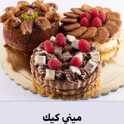 تواصلوا معنا عن طريق الواتس