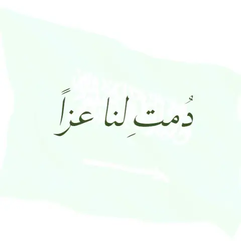 1608084301538638251_