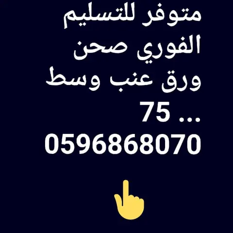 #لذة_دائمة #تارت_تفاح #ورق_عنب #سينابون #مطبخي #طبخ #اسر_منتجه #الرياض #بسبوسة #لذيذ #لذة_دائمة #فطاير #حلا #موالح #معجنات_مشكله #مفرزنات للتواصل واتس أو دايركت