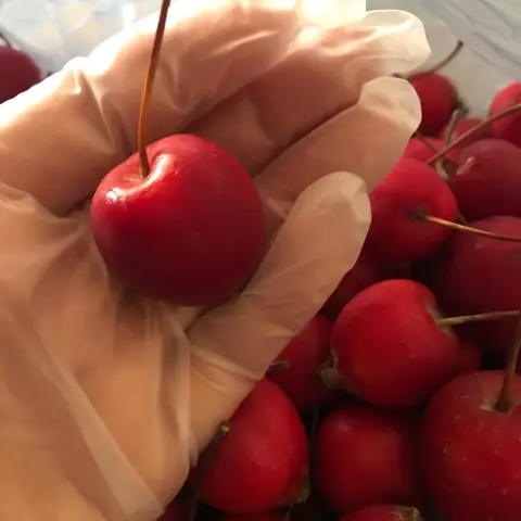 الحمدلله الذي رزقنا وهدانا وكفانا